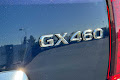 2021 Lexus GX GX 460 Premium