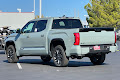 2025 Toyota Tundra Platinum CrewMax 5.5 Bed