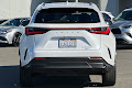 2024 Lexus NX Luxury