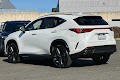 2024 Lexus NX Luxury