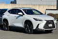 2024 Lexus NX Luxury