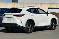 2024 Lexus NX Luxury