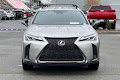 2022 Lexus UX UX 250h F SPORT