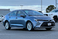 2024 Toyota Corolla Hybrid XLE