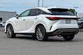 2024 Lexus RX Luxury