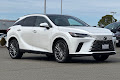 2024 Lexus RX Luxury