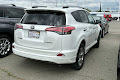 2017 Toyota RAV4 Platinum