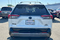 2019 Toyota RAV4 Hybrid XSE