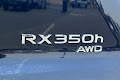 2024 Lexus RX Premium Plus