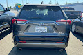 2019 Toyota RAV4 Hybrid XSE