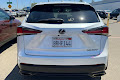 2020 Lexus NX