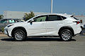 2020 Lexus NX