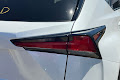 2020 Lexus NX