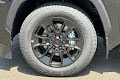 2025 Toyota Sequoia Limited