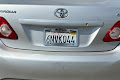 2010 Toyota Corolla XLE