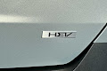 2025 Kia Carnival Hybrid EX