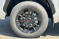2025 Toyota Tundra 1794 Edition