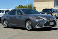2021 Lexus ES Luxury