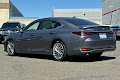 2021 Lexus ES Luxury