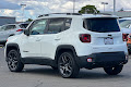 2021 Jeep Renegade 80th Anniversary