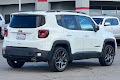 2021 Jeep Renegade 80th Anniversary