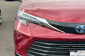 2025 Toyota Sienna LE