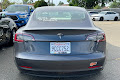2019 Tesla Model 3 Standard Range