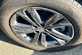 2024 Toyota Sienna Woodland Edition