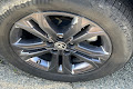 2024 Toyota Sienna Woodland Edition
