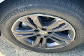 2024 Toyota Sienna Woodland Edition