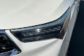 2019 Acura RDX w/Advance Pkg