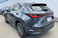 2024 Lexus NX 350