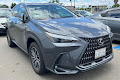 2024 Lexus NX 350