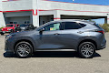 2024 Lexus NX 350
