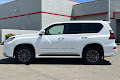 2019 Lexus GX Premium