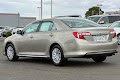 2013 Toyota Camry LE