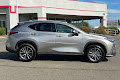 2023 Lexus NX 250 Premium