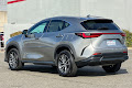 2023 Lexus NX 250 Premium