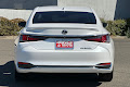 2019 Lexus ES 300h Luxury